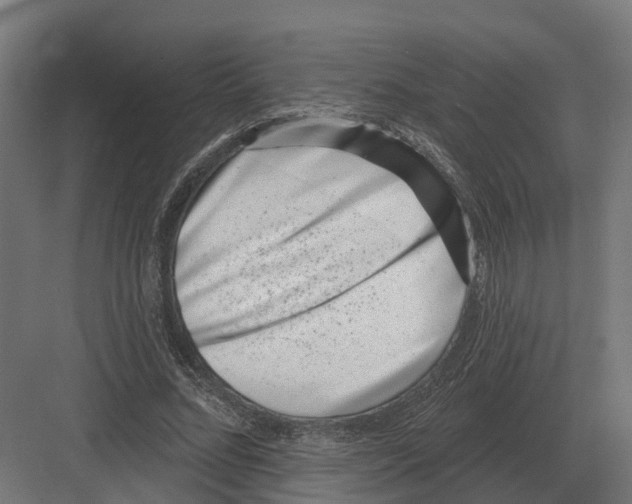 X0000082160684200702162235