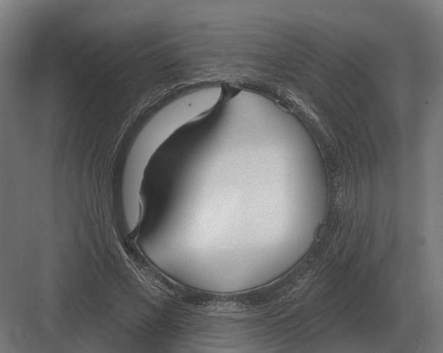 X0000082160685200702162235