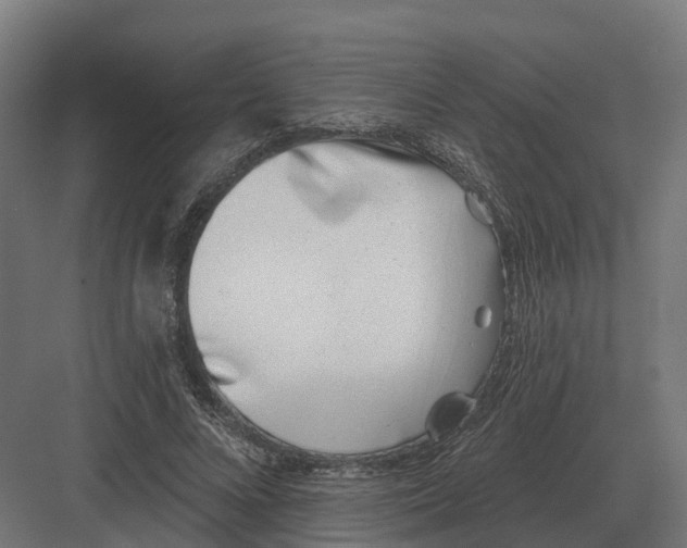 X0000082160688200702162235