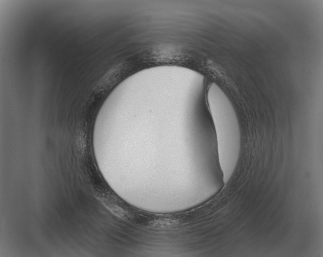 X0000082160691200702162235