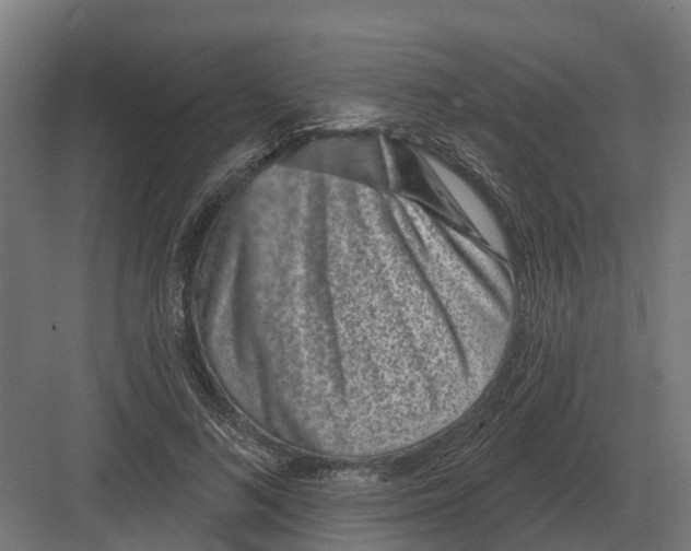 X0000082160692200702162235