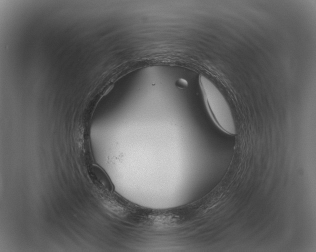 X0000082160693200702162235