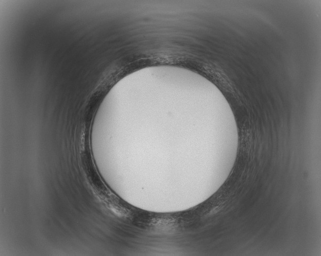 X0000082160694200702162235