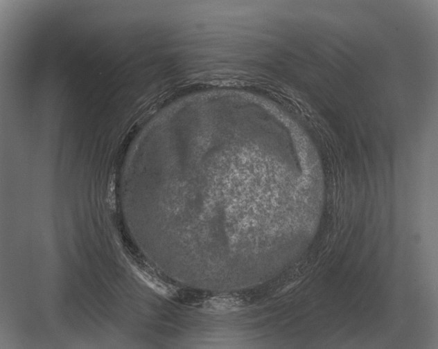 X0000082160696200702162235