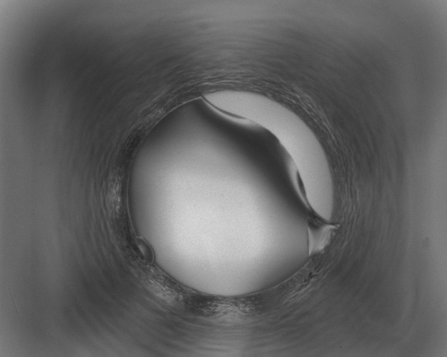 X0000082160697200702162235