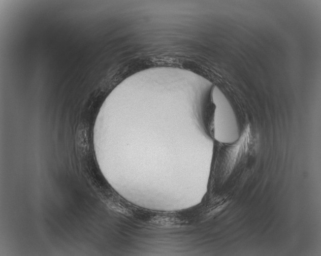 X0000082160699200702162235