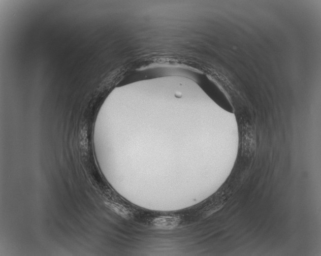 X0000082160700200702162235