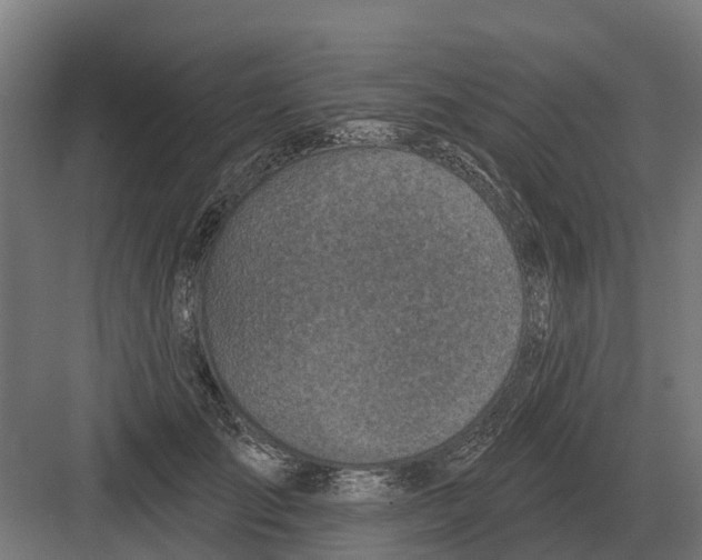 X0000082160701200702162234