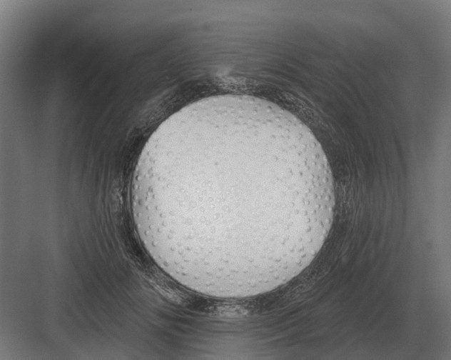 X0000082160702200702162234