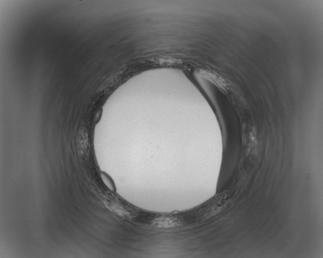 X0000082160704200702162234