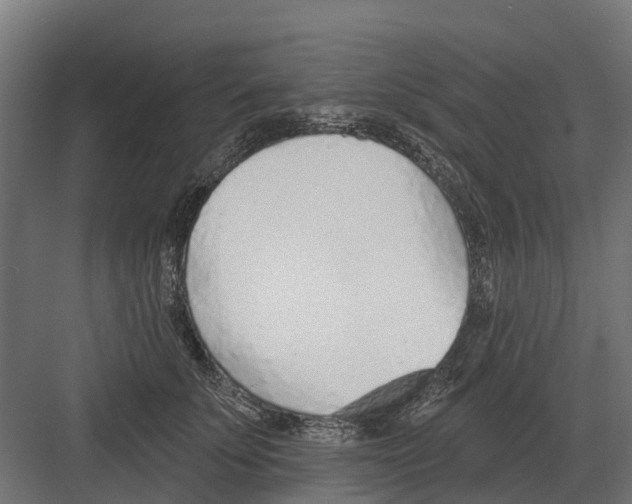 X0000082160707200702162234