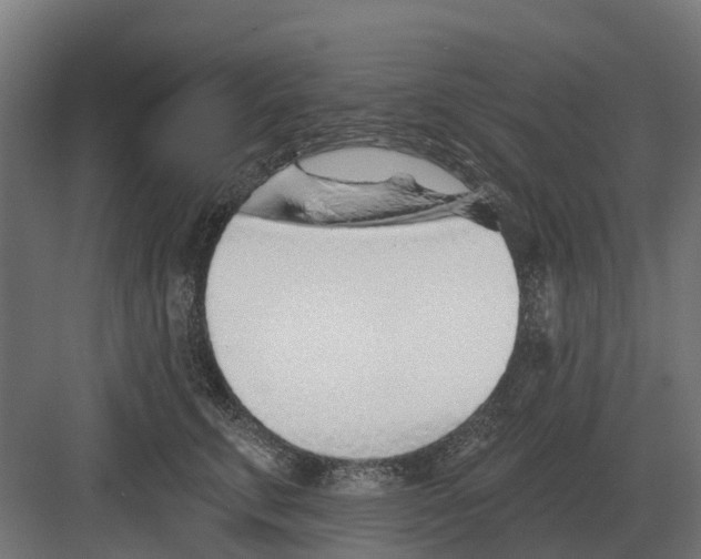 X0000082160711200702162234