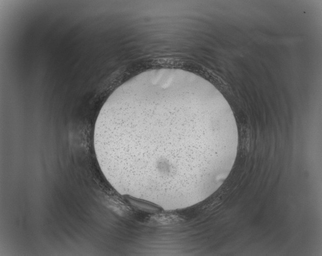 X0000082160712200702162234