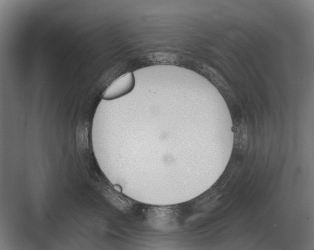 X0000082160717200702162234