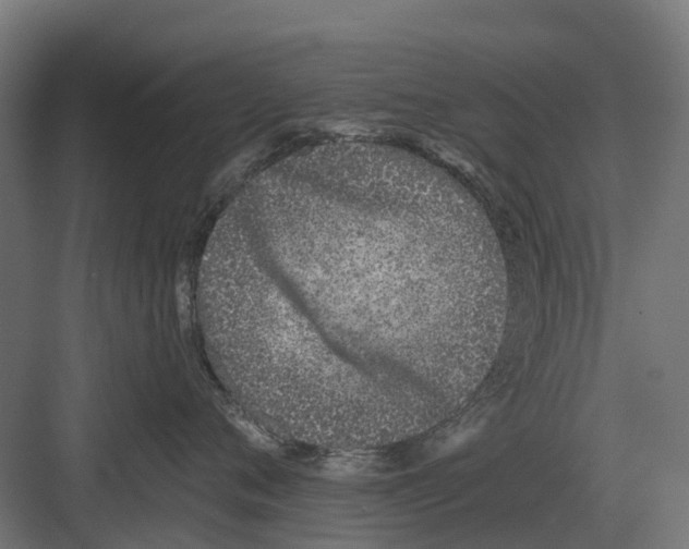 X0000082160720200702162234