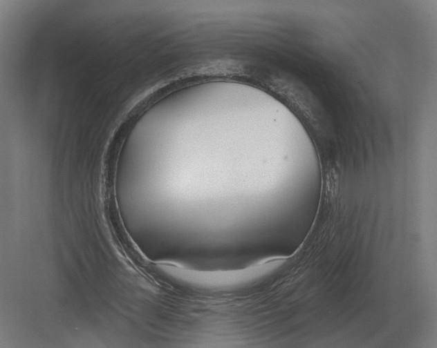 X0000082160724200702162233