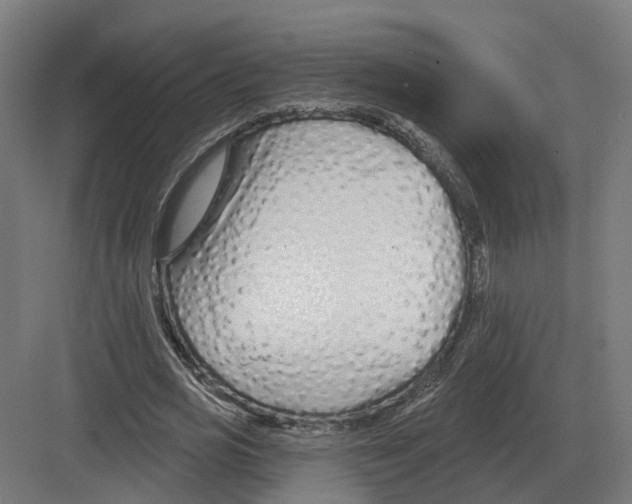 X0000082160725200702162233