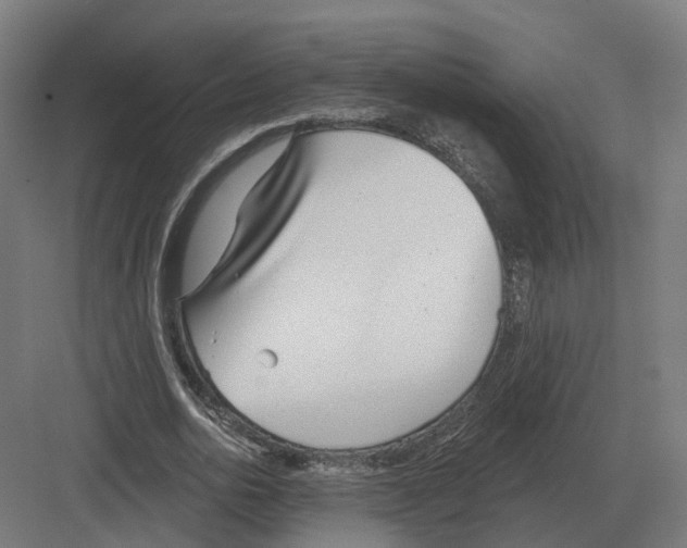 X0000082160726200702162233