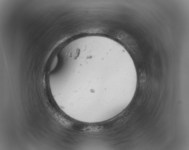 X0000082160727200702162233