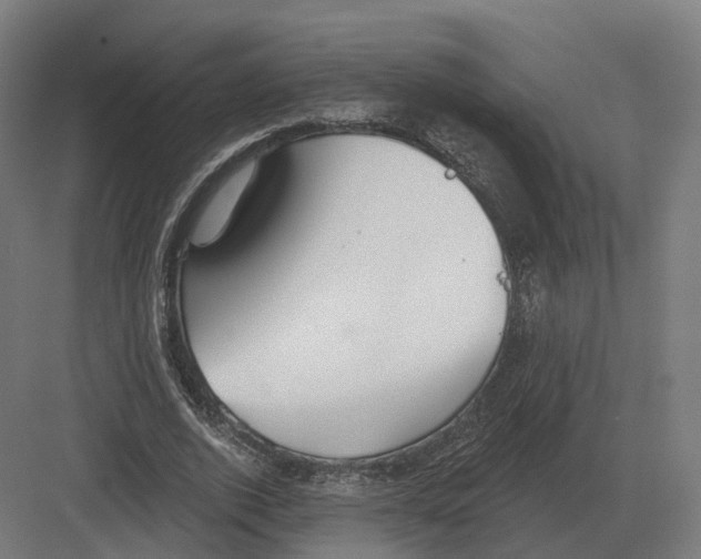 X0000082160728200702162233