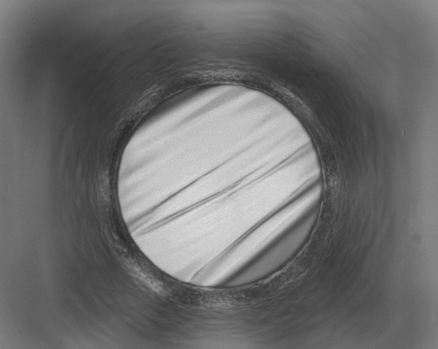 X0000082160729200702162234