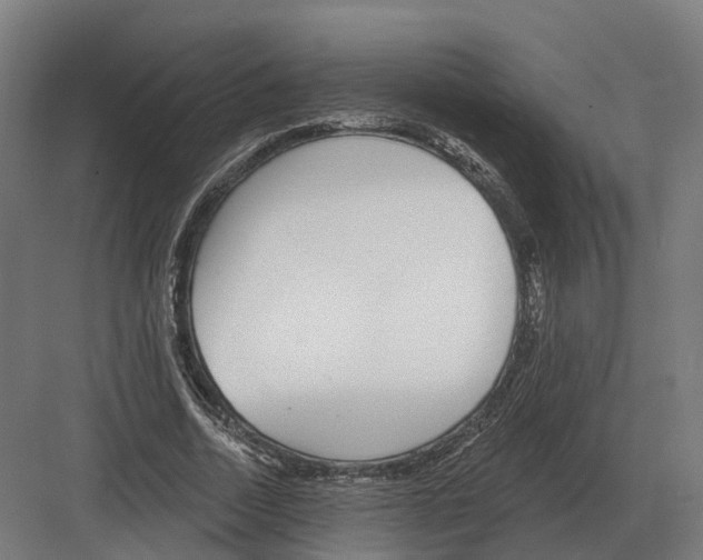 X0000082160730200702162234