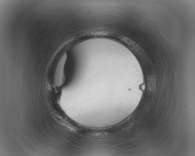 X0000082160731200702162234