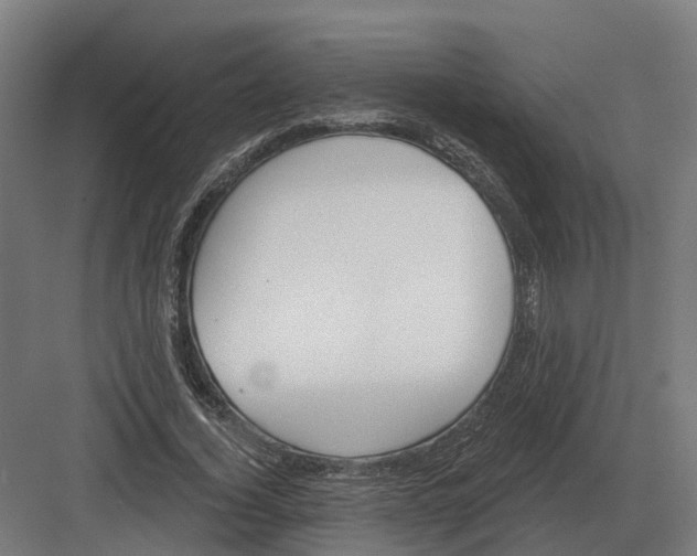 X0000082160732200702162234