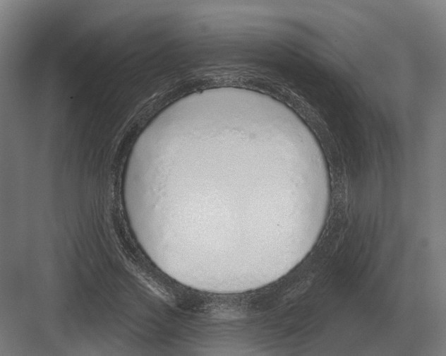 X0000082160733200702162234