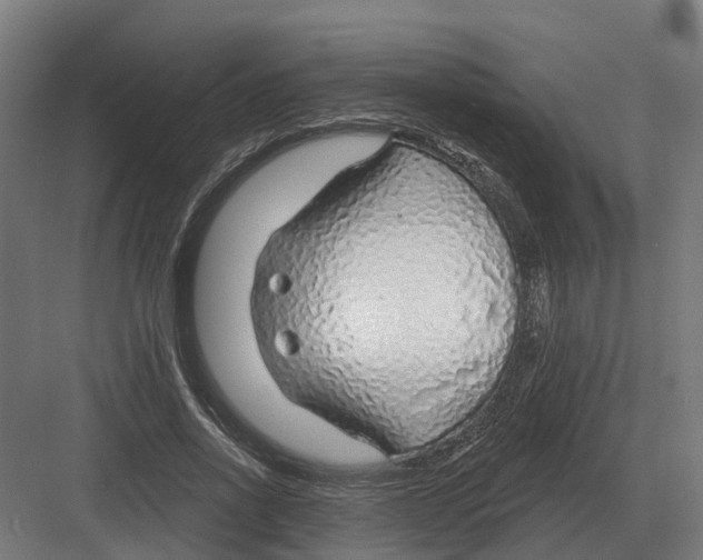 X0000082160734200702162234