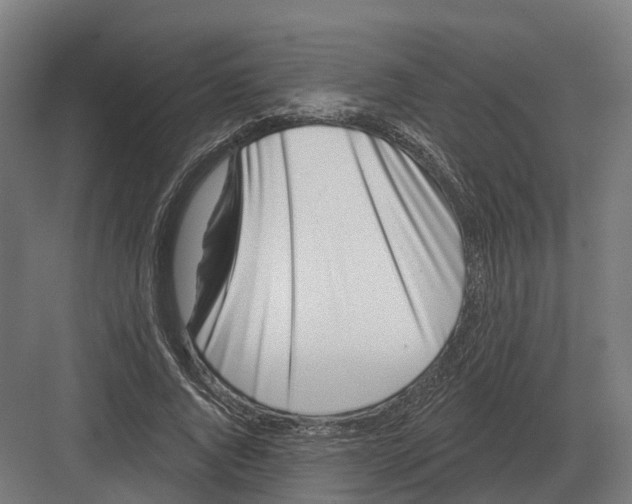 X0000082160736200702162234