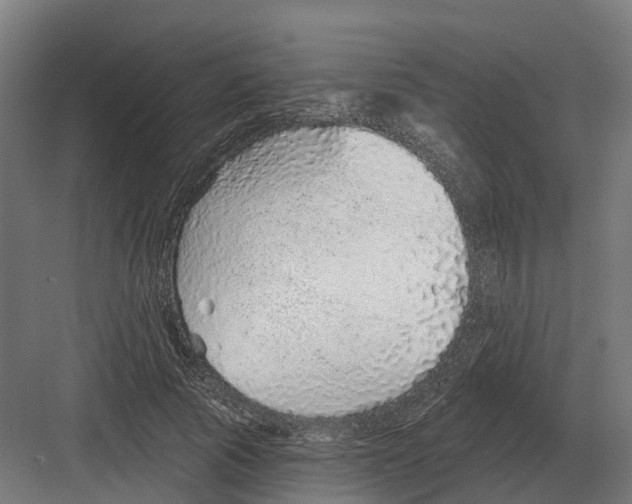 X0000082160737200702162234