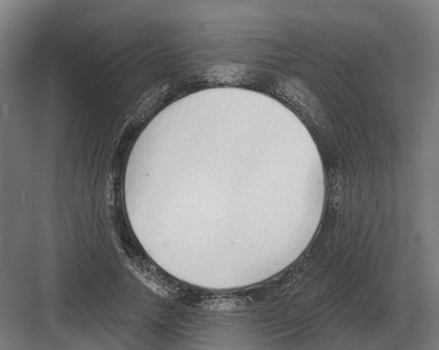 X0000082160738200702162234