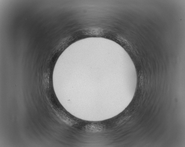 X0000082160739200702162234