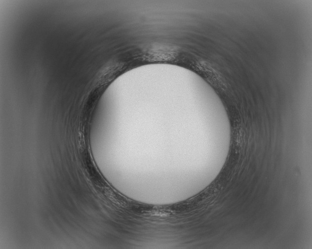 X0000082160743200702162234