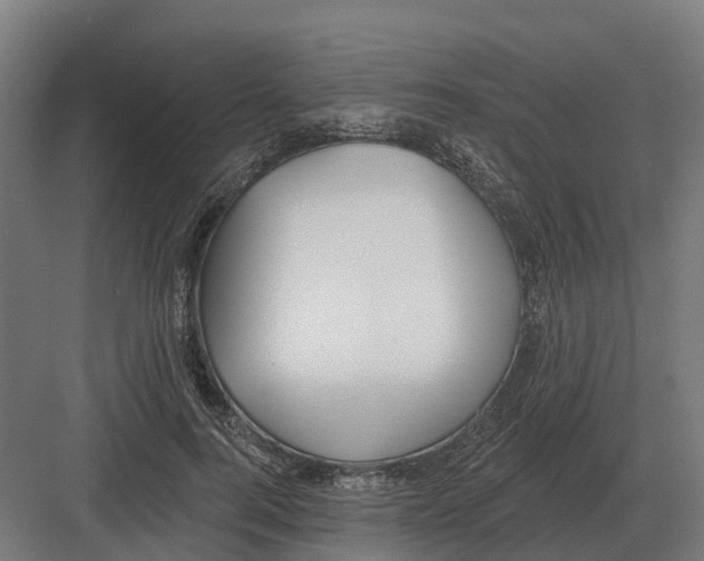 X0000082160744200702162234