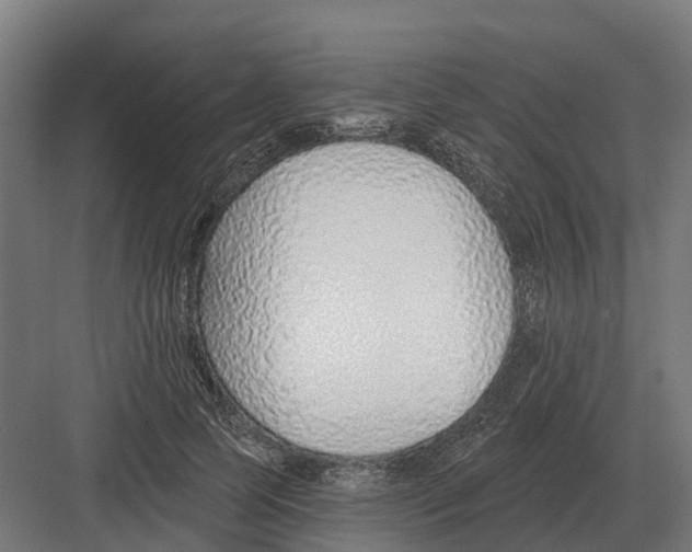 X0000082160745200702162234