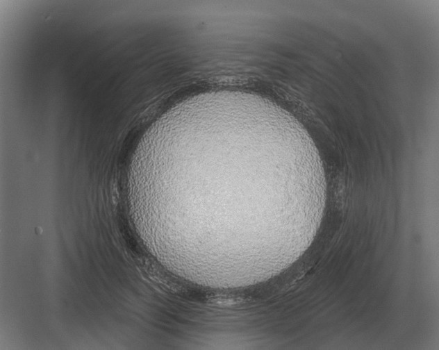 X0000082160746200702162234