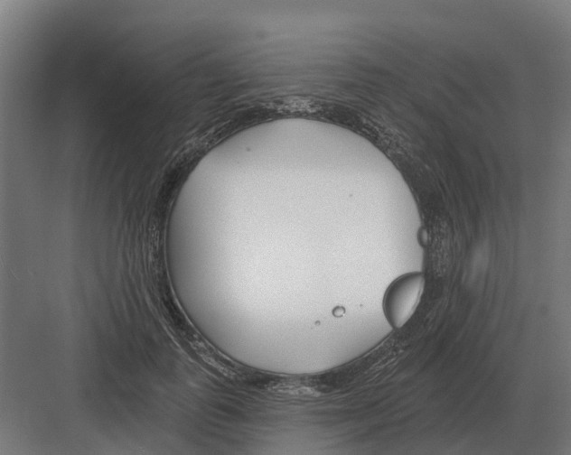 X0000082160747200702162234