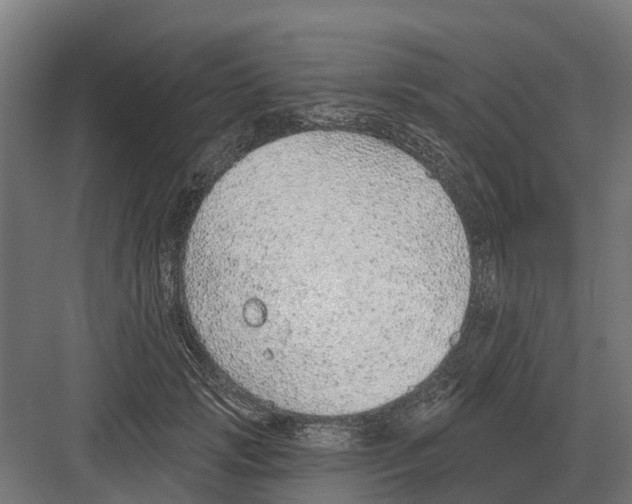 X0000082160749200702162234