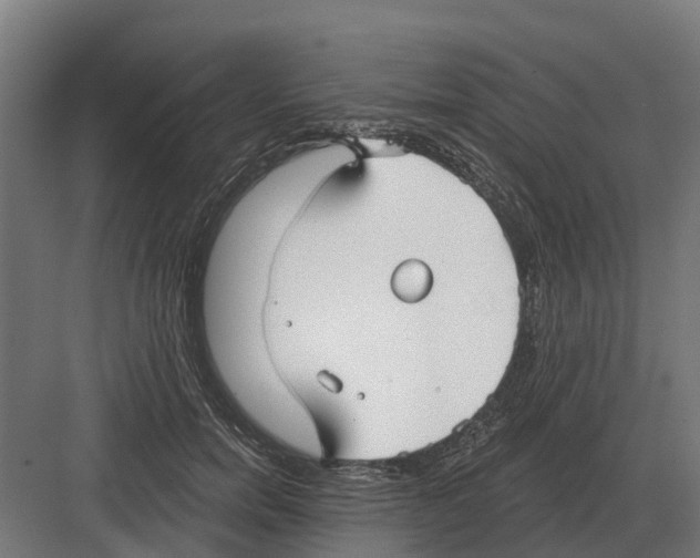 X0000082160750200702162234