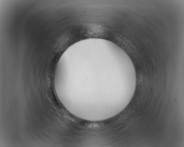 X0000082160751200702162234