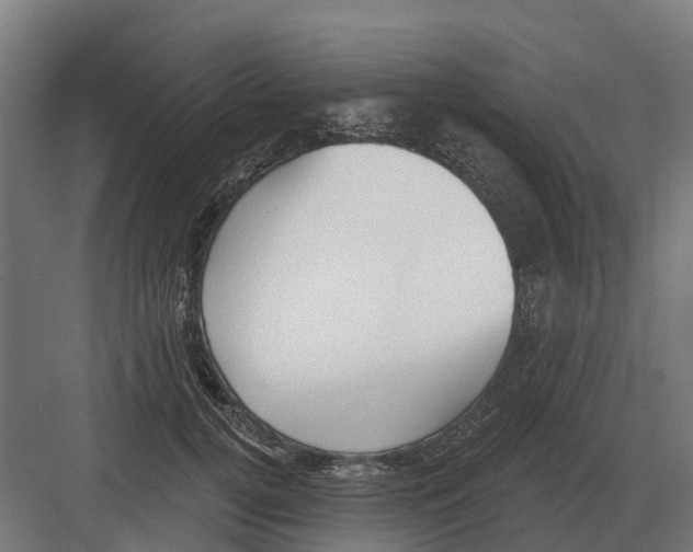 X0000082160752200702162234