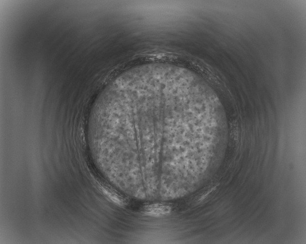 X0000082160754200702162234