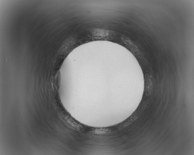 X0000082160758200702162234