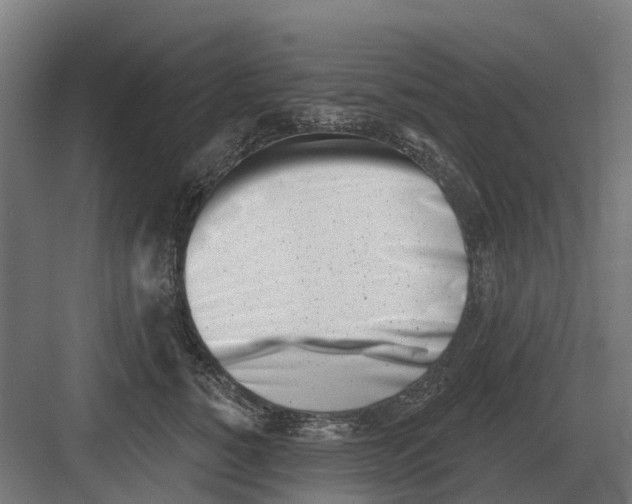 X0000082160760200702162234