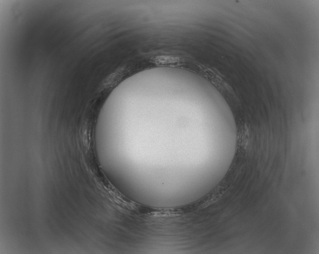 X0000082160763200702162234