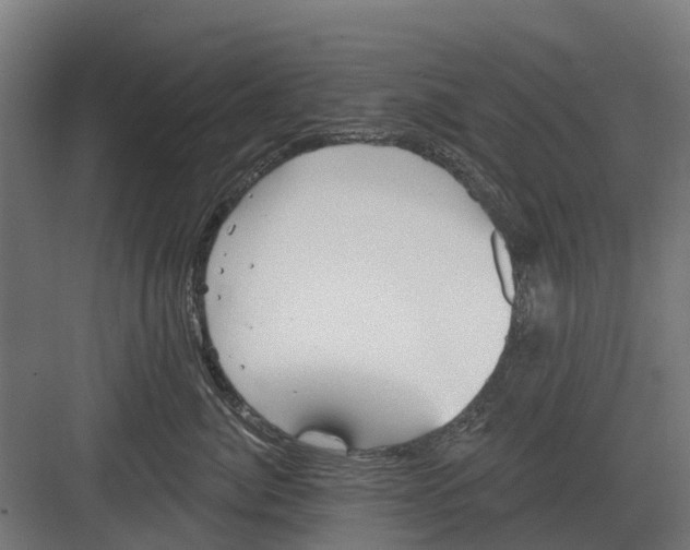 X0000082160764200702162234