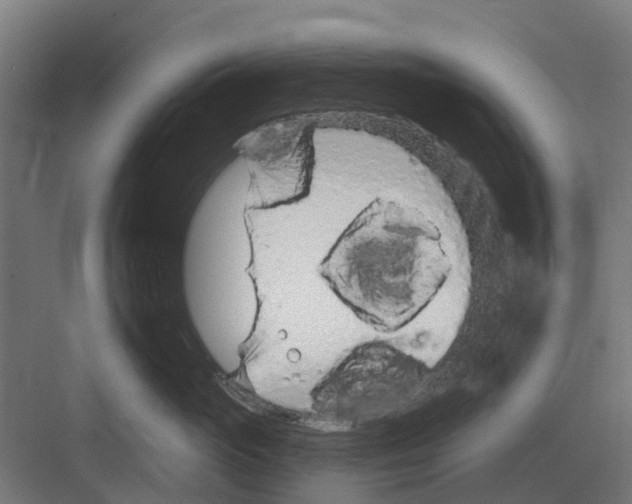 X0000082160765200702162234