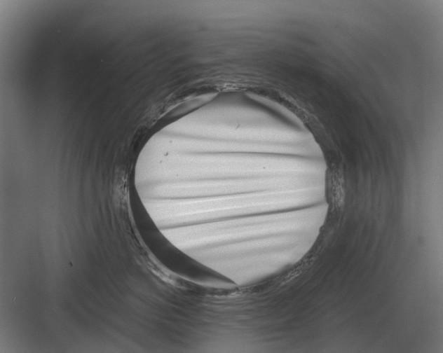 X0000082160766200702162234